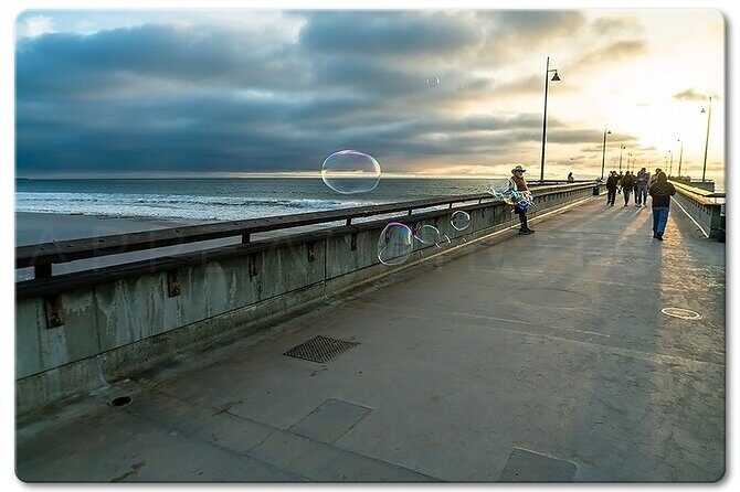 Private Venice Photographic Beach Walking Tour - Why This Tour Works Well