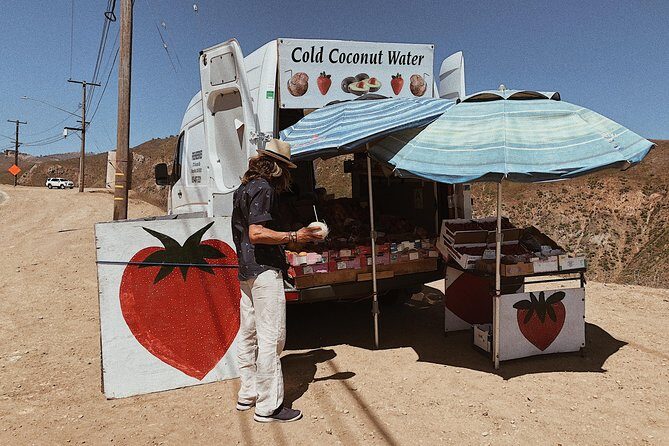 Private Vintage VW Hippie Tour to Malibu with wine tasting - Who Will Love This Tour?