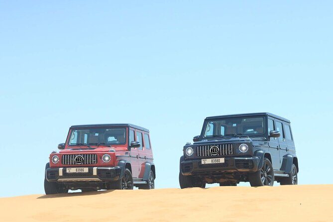 Private VIP Desert Safari in Luxury Vehicle G-Wagon - Who Should Consider This Tour?