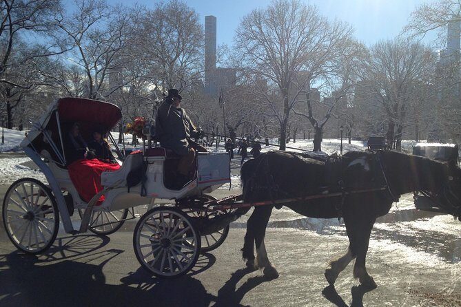 Private Walking Tour: Jewish Colonial History in New York City - Castle Clinton: An Immigration Gateway