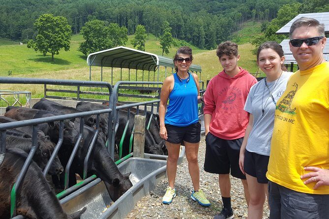 Private Walking Tour of a Real Working Cattle Ranch - Who Should Consider This Tour?