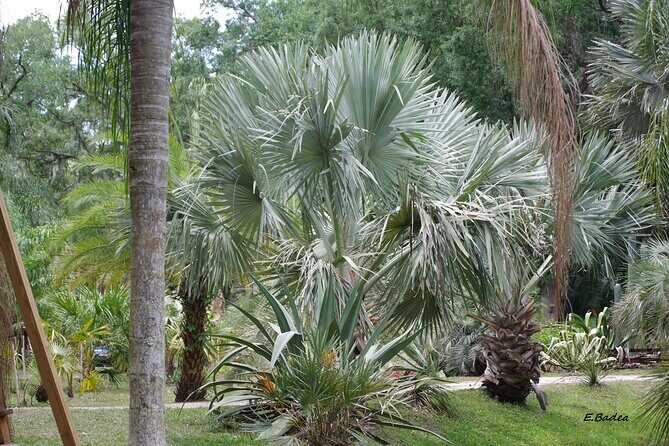 Private Walking Tour to St. John's Botanical Garden - What Does the Price Get You?
