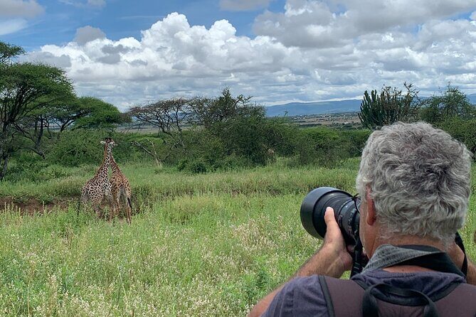 Private Walking Tour with Giraffes - The Value and Practicalities