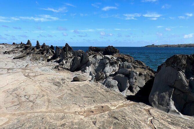 Private West Maui Coastline Open-Air Jeep Tour - Who Should Consider This Tour?