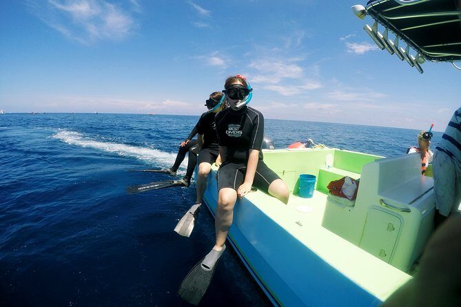 Private Whale Shark All Inclusive Experience - Value & Pricing Analysis