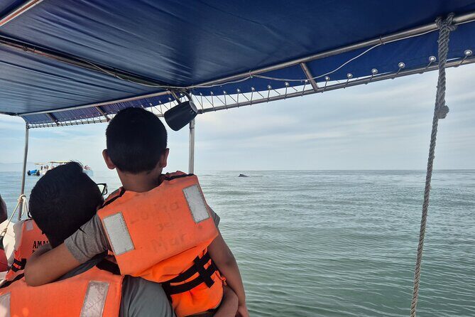 private whale watching at sunset - Frequently Asked Questions