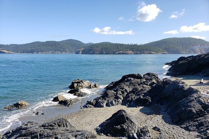 Private Whidbey Island and Deception Pass Excursion - Transportation and Comfort