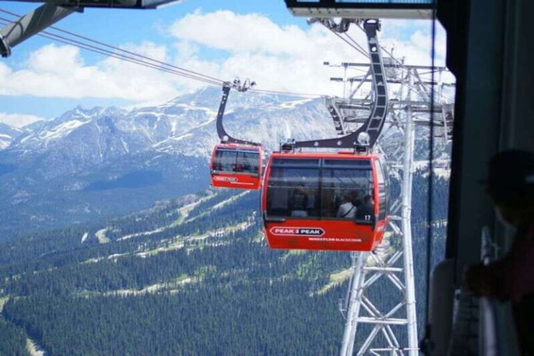 Private Whistler Full Day Tour from Vancouver - Shannon Falls and Squamish