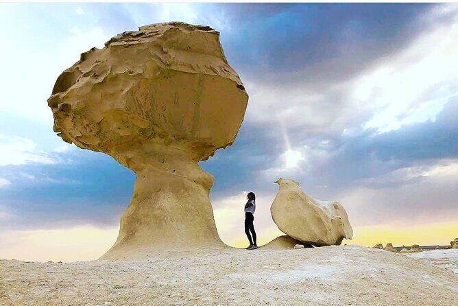 Private White Desert tour one Full day from Cairo - What to Expect from the Experience