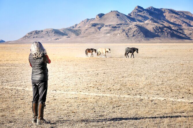 Private Wild Horse Photo Safari from Tooele - The Practical Side: What You Need to Know