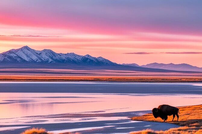 Private Wildlife and Scenic tour on Antelope Island - An In-Depth Look at the Tour Experience
