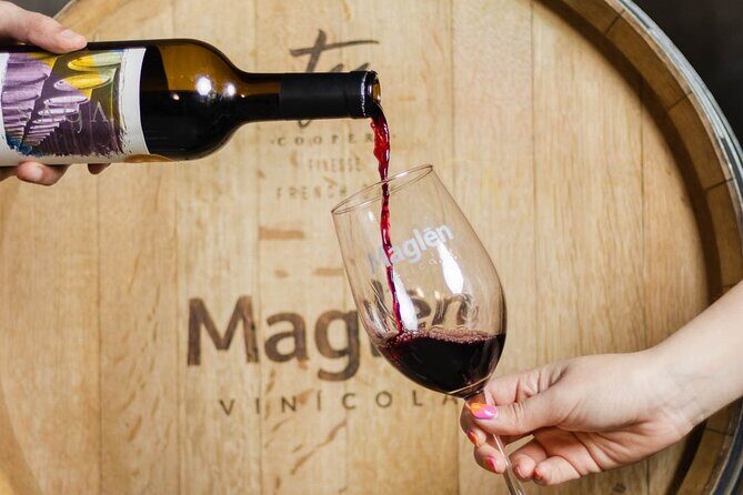 Private Wine Tasting Experience in Maglén - Detailed Breakdown of the Itinerary