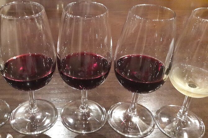Private Wine Tasting Tour in Constantia, Cape Town - An In-Depth Look at the Tour Experience