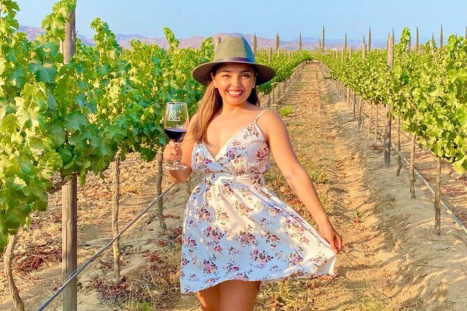 Private Wine Tour at Valle de Guadalupe (A wine tasting included). - Detailed Itinerary Breakdown