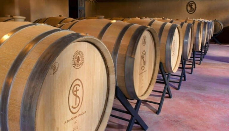 Private Wine Tour from Guanajuato City - What Makes This Tour Special