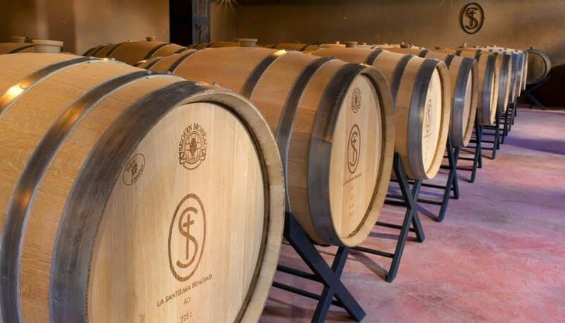 Private Wine Tour from Guanajuato City