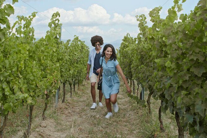 Private Wine Tour in Niagara-on-the-Lake w/ cheese & charcuterie - The Sum Up