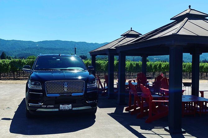 Private Wine Tour Napa or Sonoma 6 hours up to 6 people - Why Choose This Tour?