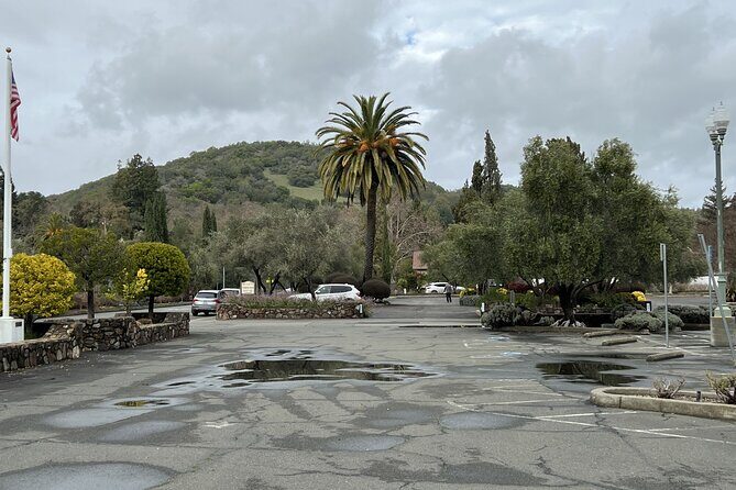 Private Wine Tour of Napa and Sonoma - What We Love About the Tour