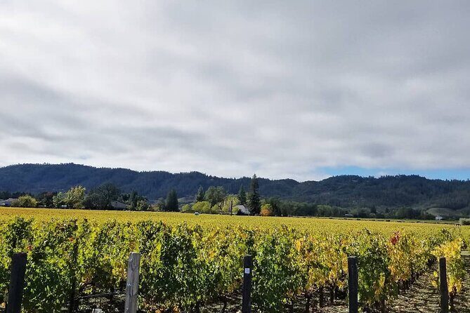 Private Wine Tour of Napa Valley - Pricing and Value