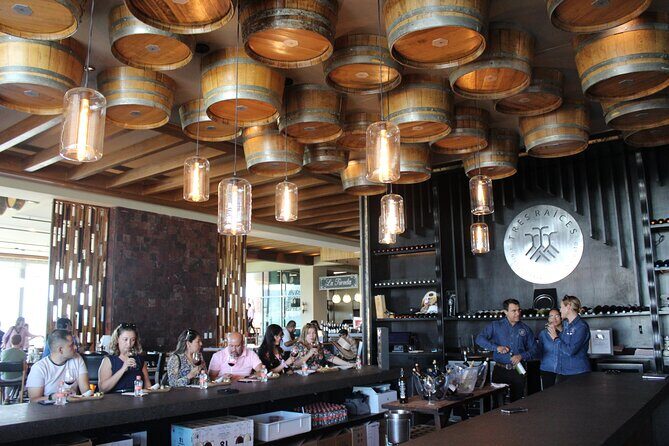 Private Wine Tour, Winemaker for a Day, Wine Pairing and Tasting - What Travelers Say