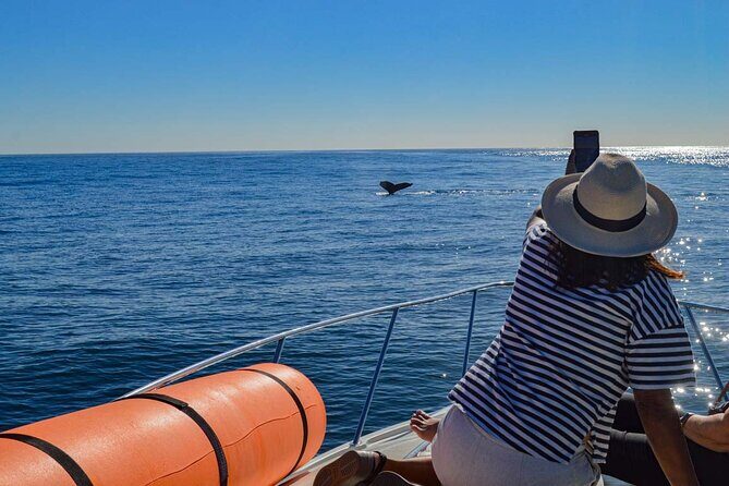 Private Yacht, Snorkeling or Sunset in Cabo San Lucas - Practical Tips for Booking and Participation