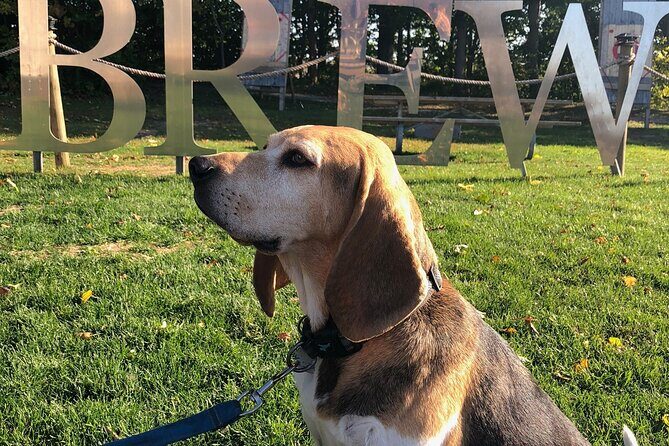 Private:Brewery, Winery, and Cider & Spirit Tastings Tour in SW Ontario - A Closer Look at the Itinerary