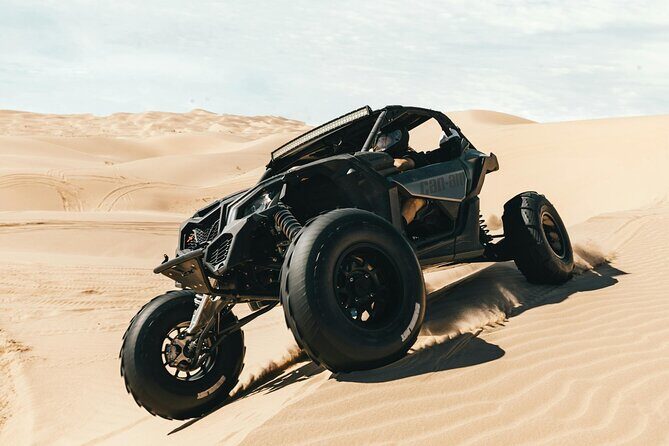 Professional Buggy Self Drive with Desert Safari and Camel Ride - The Value of the Tour