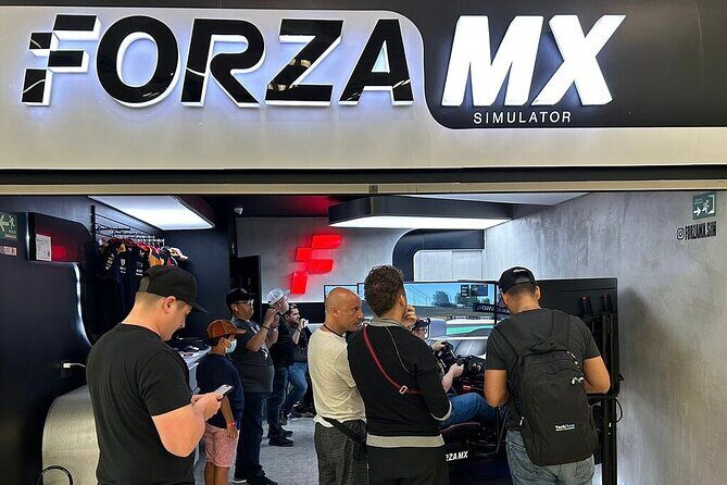Professional racing simulator - Practical Details & Logistics