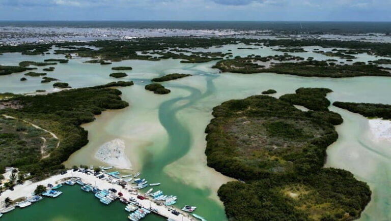 Progreso: Isla Columpios and Pig Beach Club Day Pass - Detailed Breakdown of the Itinerary