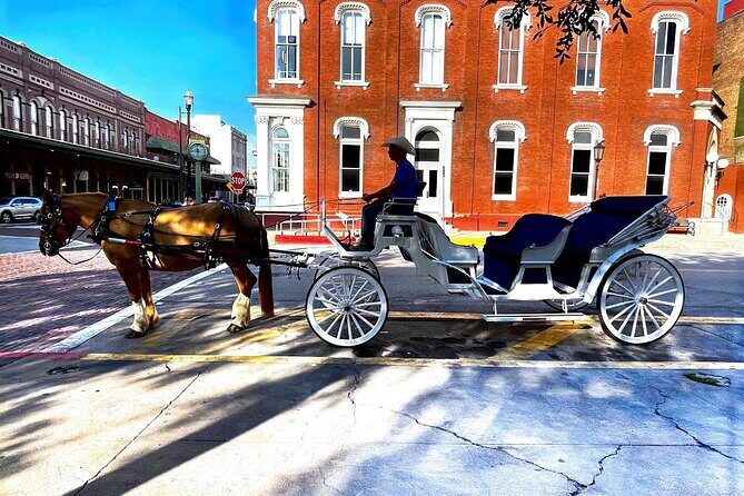 Public Group Historical Carriage Tour of Galveston - Practical Details: What to Expect