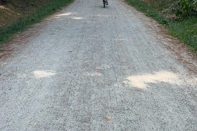 Public | Small Group | Nature & Wildlife Tour Rail Trail| 2-2.5hr