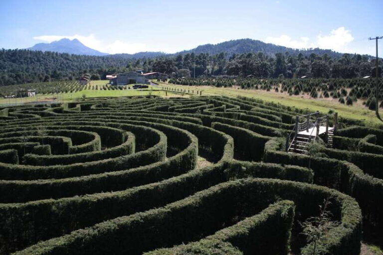 Puebla: Alpinia Mountain and Nature Park - Practical Tips for Visiting Alpinia