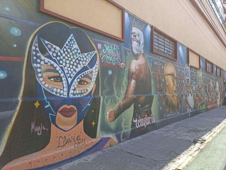 Puebla: Lucha Libre Show with Pulque and Pasita Tasting - Who Will Love This Tour?