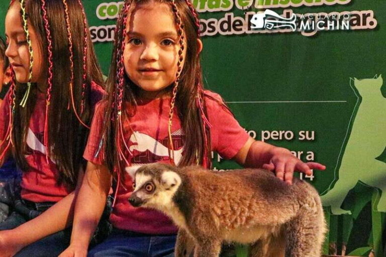Puebla: Ticket to Aquarium Michin - Outdoor and Interactive Activities