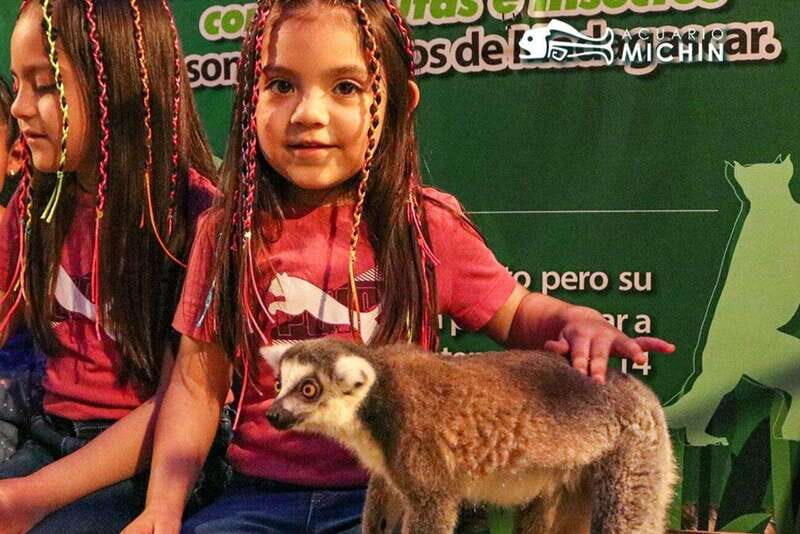 Puebla: Ticket to Aquarium Michin - Outdoor and Interactive Activities