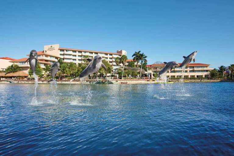Puerto Aventuras: Amazing Dolphin Encounter with Lunch - The Experience in Context