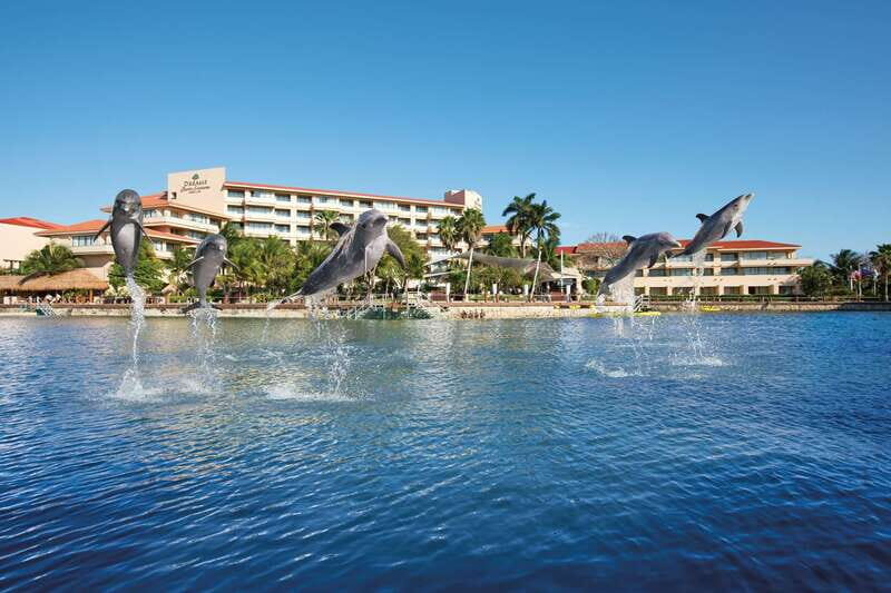 Puerto Aventuras: Amazing Dolphin Encounter with Lunch - The Experience in Context