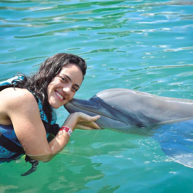 Puerto Aventuras: Dolphin and Manatee Interaction with Lunch - Who Will Love This Tour?