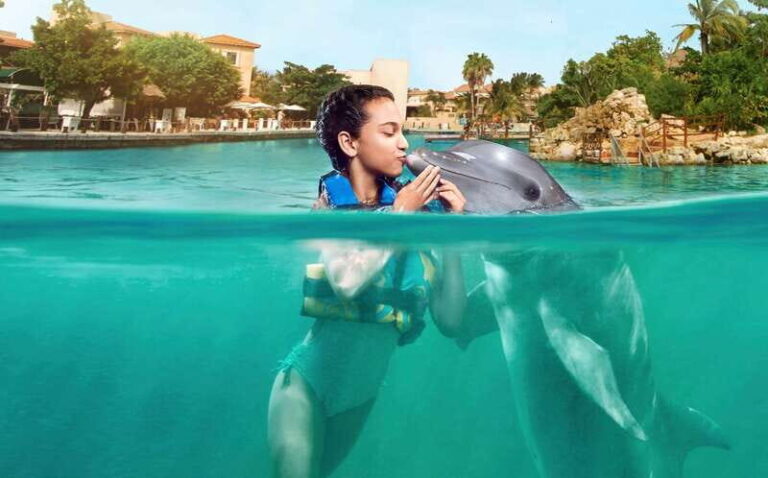 Puerto Aventuras: Dolphin Encounter with Buffet Lunch - What Travelers Say