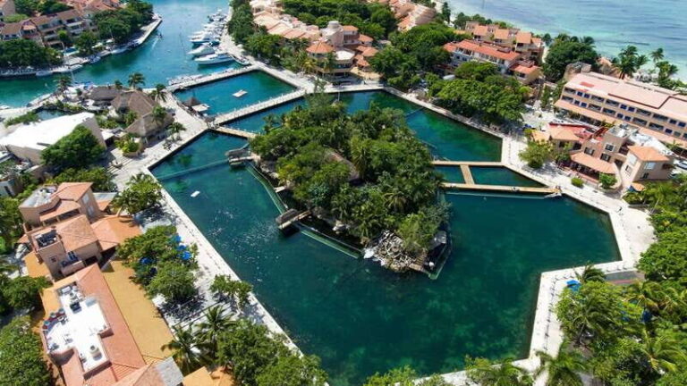 Puerto Aventuras: Dolphin & Manatee Encounter with lunch - Final Thoughts on Value