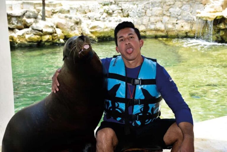 Puerto Aventuras: Dolphins, Manatee & Sea Lion interaction - The Marine Encounters