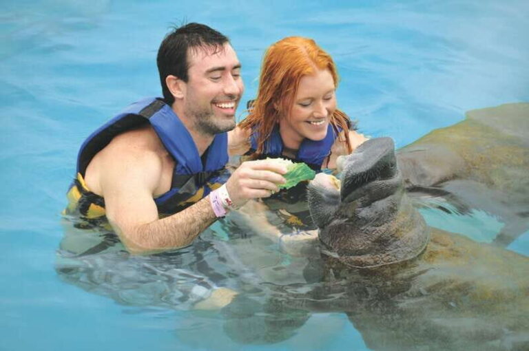 Puerto Aventuras: Manatee Encounter - The Setting and Location