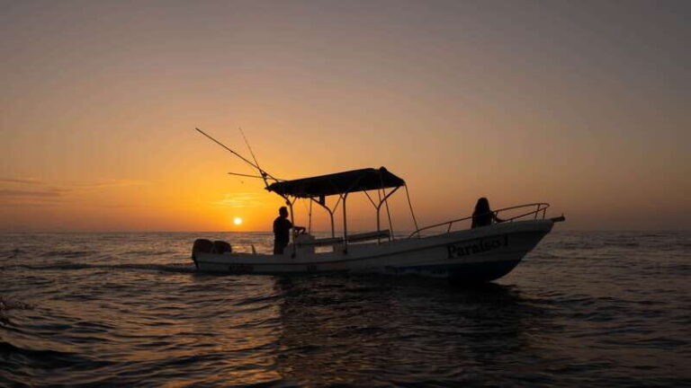 Puerto Escondido: Boat Tour among Dolphins and Turtles - Who Should Consider This Tour?