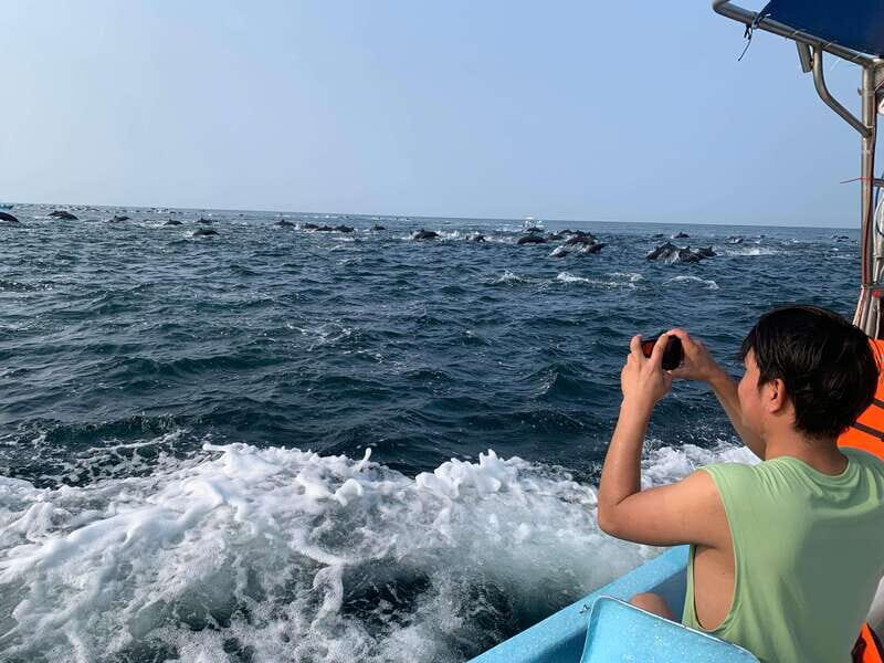 Puerto Escondido: Boat Tour to see Dolphins and Marine Life - What to Expect