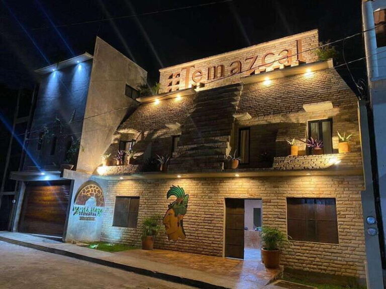 Puerto Escondido: Complete Temazcal Treatment - The Therapies and Treatments