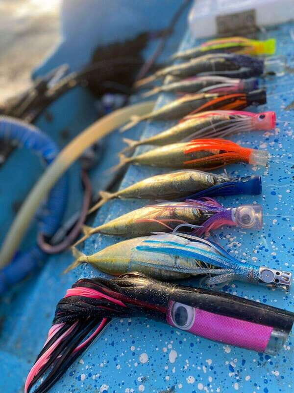 Puerto Escondido: Fishing Boat Trip with Buffet Lunch - Why This Tour Works Well