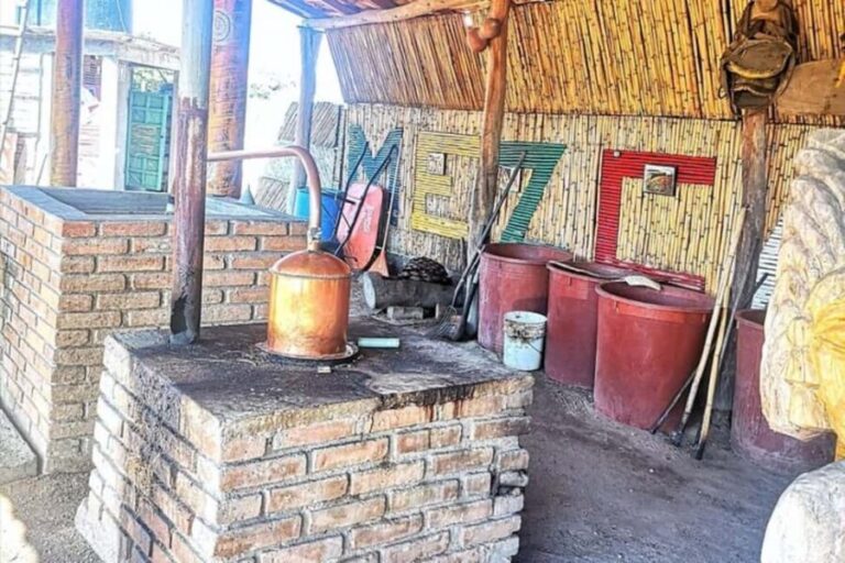 Puerto Escondido: Mezcal, Coffee, and Pedal Loom Factory - A Genuine Taste of Oaxaca’s Spirit and Art