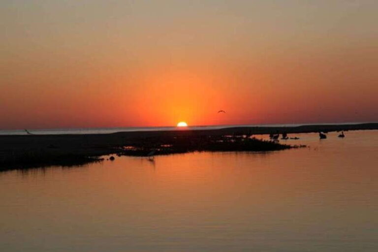 Puerto Escondido: Turtle Release and Bioluminescent Plankton - Pricing and Value