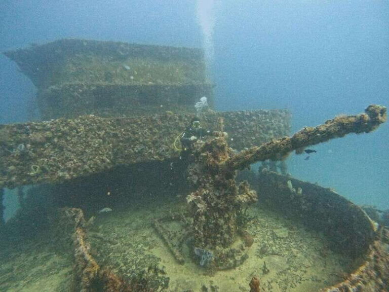 Puerto Morelos: C-56 Shipwreck & Reef for Certified Divers - Practical Details and Logistics